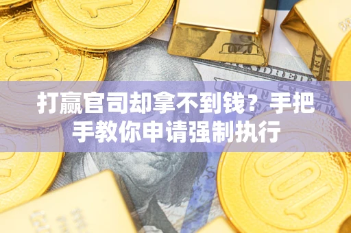 武汉打赢官司却拿不到钱？手把手教你申请强制执行