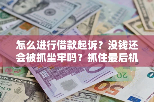 武汉怎么进行借款起诉？没钱还会被抓坐牢吗？抓住最后机会！