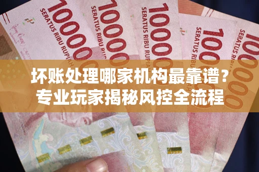 武汉坏账处理哪家机构最靠谱？专业玩家揭秘风控全流程