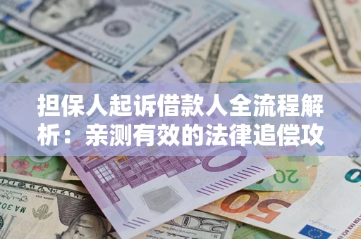 武汉担保人起诉借款人全流程解析：亲测有效的法律追偿攻略