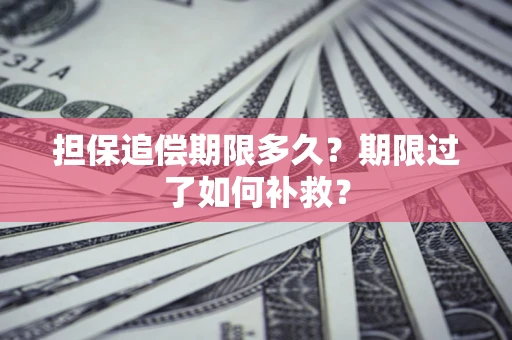 武汉担保追偿期限多久？期限过了如何补救？