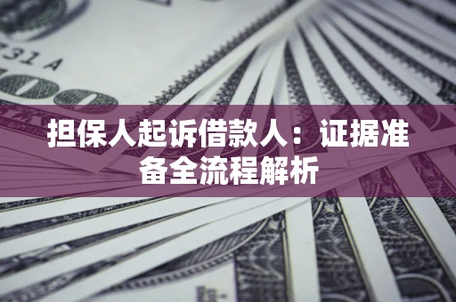 武汉担保人起诉借款人：证据准备全流程解析