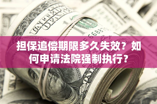 武汉担保追偿期限多久失效？如何申请法院强制执行？
