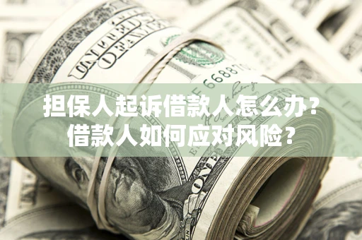 武汉担保人起诉借款人怎么办？借款人如何应对风险？