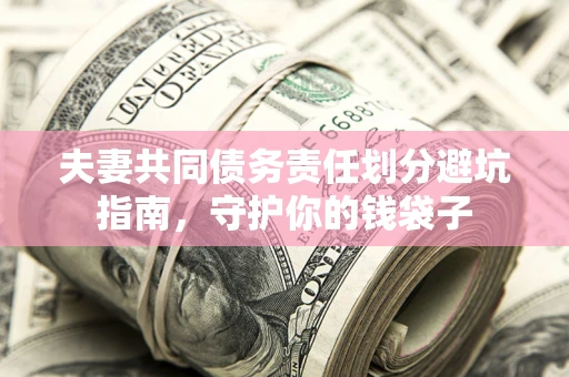 武汉夫妻共同债务责任划分避坑指南，守护你的钱袋子