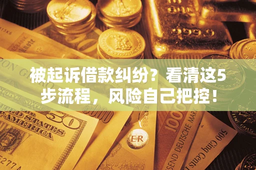 武汉被起诉借款纠纷？看清这5步流程，风险自己把控！