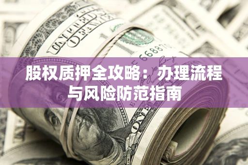 武汉股权质押全攻略：办理流程与风险防范指南