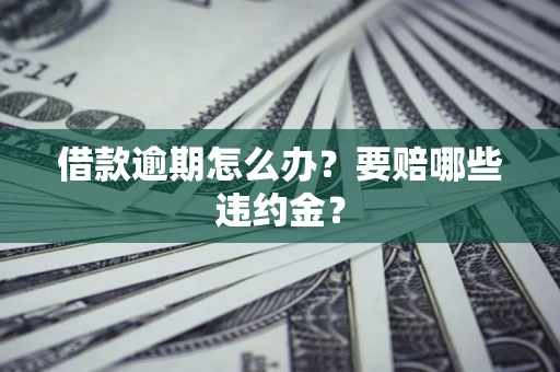 武汉借款逾期怎么办？要赔哪些违约金？