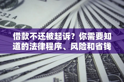 武汉借款不还被起诉？你需要知道的法律程序、风险和省钱技巧